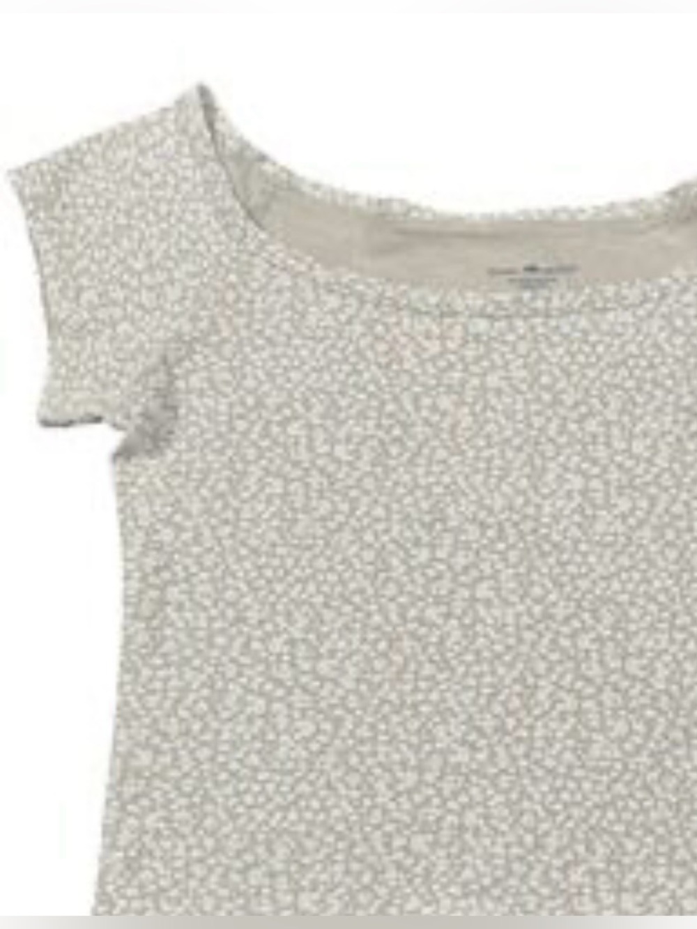 Brandy Melville|Light Taupe Ditsy Floral Short Sleeve cropped top•••One Size